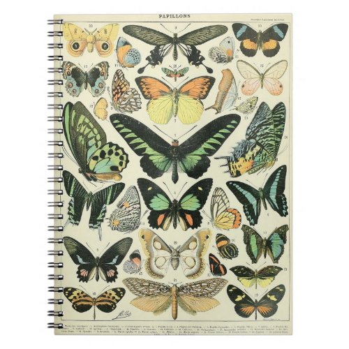 Adolphe Millot Butterflies Pattern_B Notebook