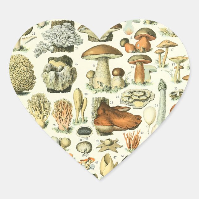Adolphe Millot Champignon Mushroom Print Heart Sticker (Front)