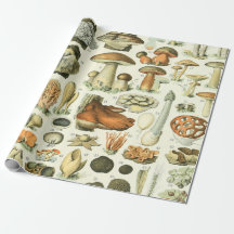 Wrapping Paper And Gift Cards Vintage Wrapping Paper From The 80s Mushroom Wrapping Paper