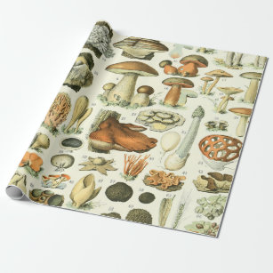 Buzza Retro MCM Vintage Mushroom Wrapping Paper Sheets New in Package