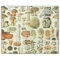 Adolphe Millot Champignon Mushroom Print