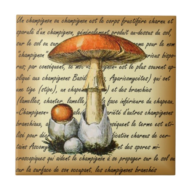 Adolphe Millot ~ Champignons-pour tous-fixed ~  Ceramic Tile (Front)