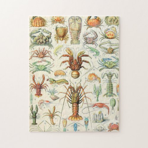 Adolphe Millot crustaces Jigsaw Puzzle