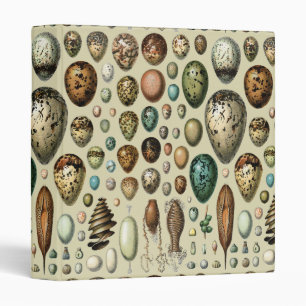 Adolphe Millot Dark Academia Vintage Bird Egg Art 3 Ring Binder