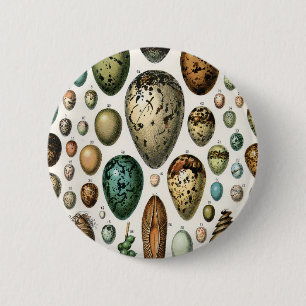 Adolphe Millot Dark Academia Vintage Bird Egg Art Button