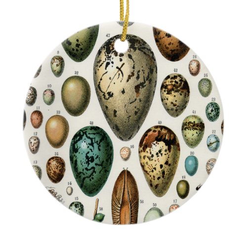 Adolphe Millot Dark Academia Vintage Bird Egg Art Ceramic Ornament