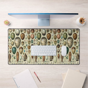 Adolphe Millot Dark Academia Vintage Bird Egg Art Desk Mat