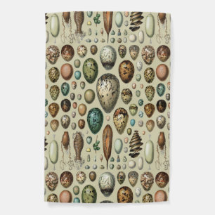 Adolphe Millot Dark Academia Vintage Bird Egg Art Garden Flag