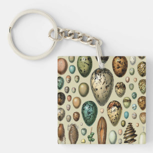Adolphe Millot Dark Academia Vintage Bird Egg Art Keychain
