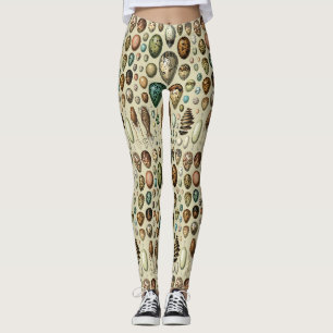 Adolphe Millot Dark Academia Vintage Bird Egg Art Leggings