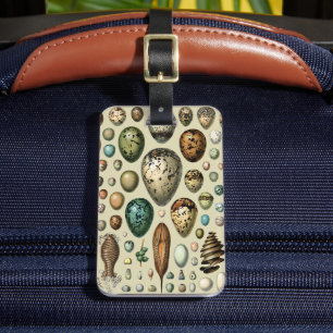 Adolphe Millot Dark Academia Vintage Bird Egg Art Luggage Tag