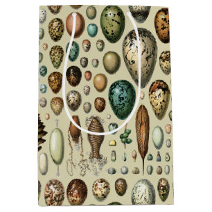 Adolphe Millot Dark Academia Vintage Bird Egg Art Medium Gift Bag