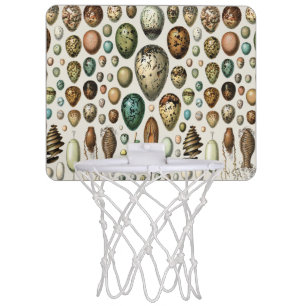 Adolphe Millot Dark Academia Vintage Bird Egg Art Mini Basketball Hoop