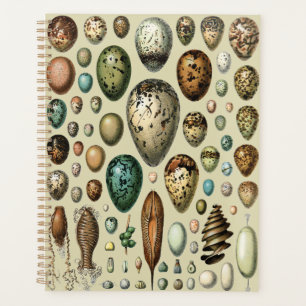Adolphe Millot Dark Academia Vintage Bird Egg Art Planner