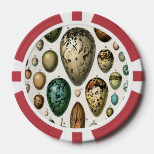 Adolphe Millot Dark Academia Vintage Bird Egg Art Poker Chips