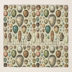Adolphe Millot Dark Academia Vintage Bird Egg Art Scarf