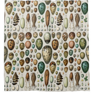 Adolphe Millot Dark Academia Vintage Bird Egg Art Shower Curtain