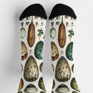 Adolphe Millot Dark Academia Vintage Bird Egg Art Socks