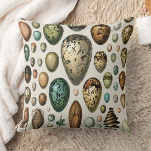 Adolphe Millot Dark Academia Vintage Bird Egg Art Throw Pillow
