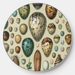 Adolphe Millot Dark Academia Vintage Bird Egg Art Wireless Charger