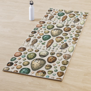 Adolphe Millot Dark Academia Vintage Bird Egg Art Yoga Mat