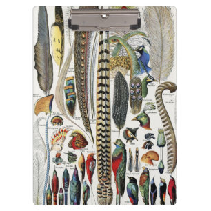 Adolphe Millot Dark Academia Vintage Bird Feather Clipboard