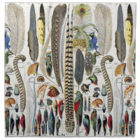 Adolphe Millot Dark Academia Vintage Bird Feather