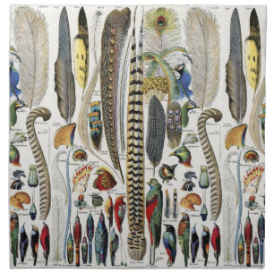 Adolphe Millot Dark Academia Vintage Bird Feather Cloth Napkin