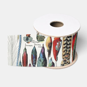 Adolphe Millot Dark Academia Vintage Bird Feather Grosgrain Ribbon