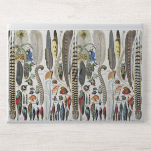 Adolphe Millot Dark Academia Vintage Bird Feather HP Laptop Skin