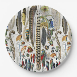 Adolphe Millot Dark Academia Vintage Bird Feather Paper Plates