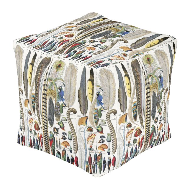 Adolphe Millot Dark Academia Vintage Bird Feather Pouf (Angled Front)