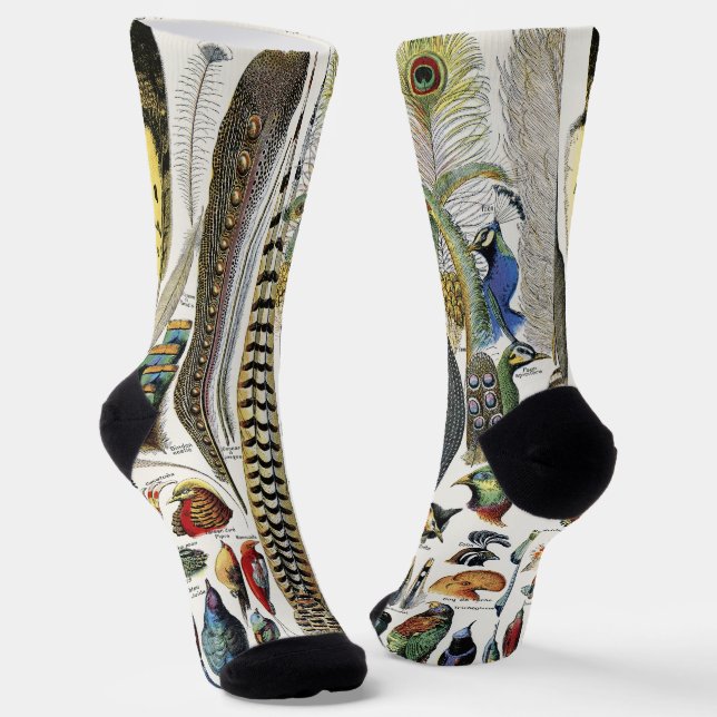 Adolphe Millot Dark Academia Vintage Bird Feather Socks (Angled)