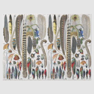 Adolphe Millot Dark Academia Vintage Bird Feather Tissue Paper