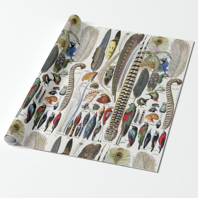 Adolphe Millot Dark Academia Vintage Bird Feather Wrapping Paper (Unrolled)