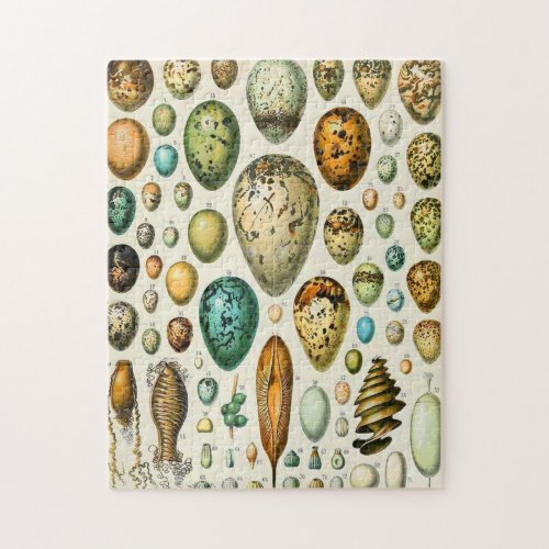 Adolphe Millot eggs Jigsaw Puzzle