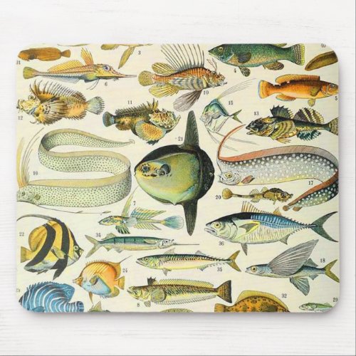 Adolphe Millot fish A Mouse Pad
