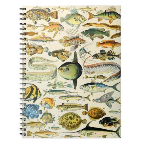 Adolphe Millot fish A Notebook