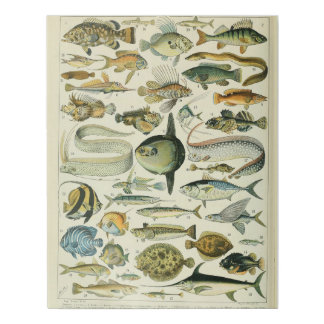 Adolphe Millot Fish Pattern-A Faux Canvas Print
