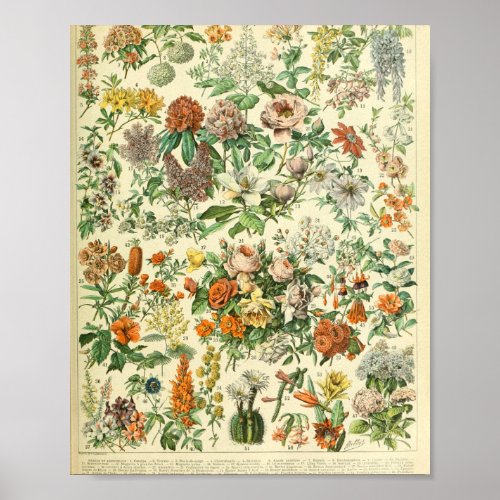 Adolphe Millot Fleurs C Poster