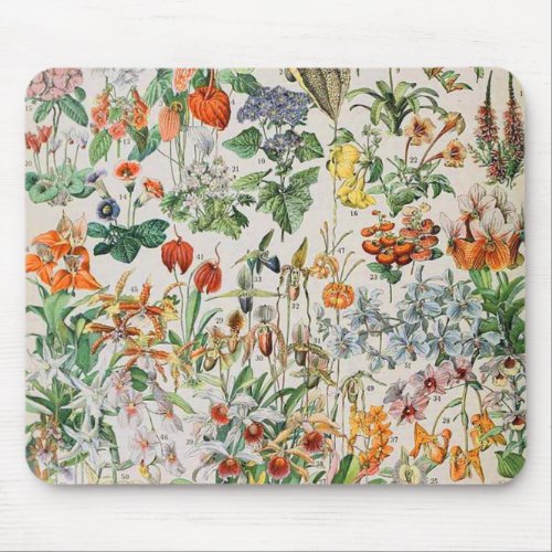 Adolphe Millot flowers D Mouse Pad