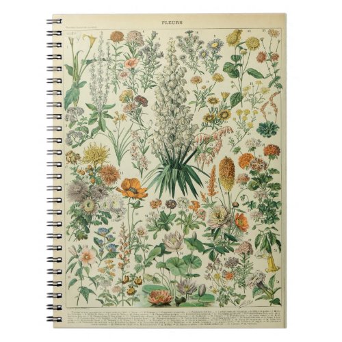 Adolphe Millot Flowers Pattern_B Notebook