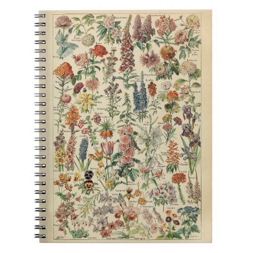 Adolphe Millot Flowers Pattern Notebook
