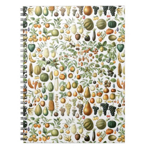 Adolphe Millot Fruit Pattern Notebook
