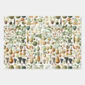 Adolphe Millot Fruit Pattern Wrapping Paper Sheets (Front 3)