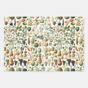 Adolphe Millot Fruit Pattern Wrapping Paper Sheets