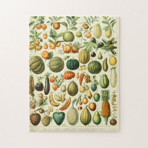 Adolphe Millot Fruits B Jigsaw Puzzle