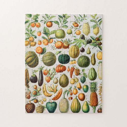 Adolphe Millot fruits B Jigsaw Puzzle