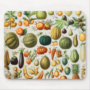 Adolphe Millot fruits B Mouse Pad