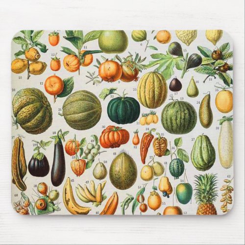Adolphe Millot fruits B Mouse Pad